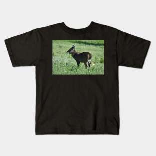 Waterbuck Kids T-Shirt